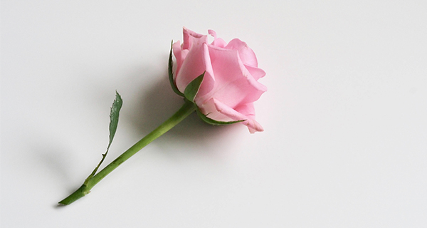 Stop and smell the roses